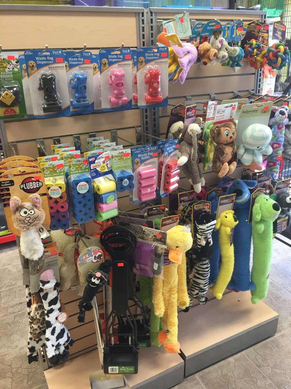 Pets R Us, Pet Grooming & Supplies | 838 W Glenoaks Blvd, Glendale, CA 91202, USA | Phone: (818) 553-8060