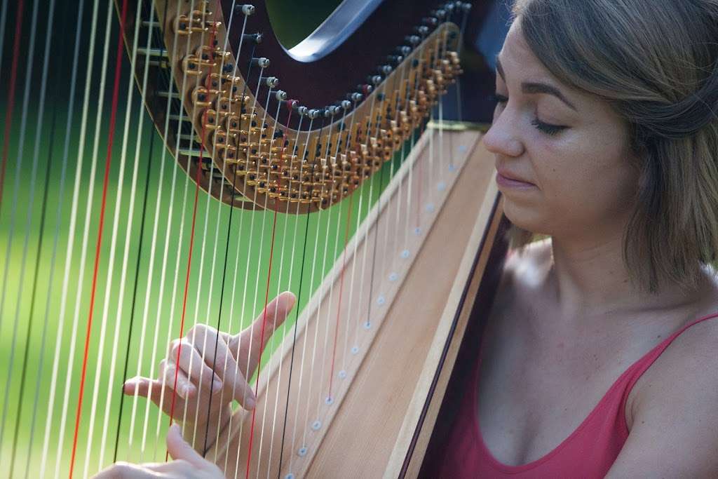 Stephanie Gustafson, Houston Harpist | 1135 Walling St, Houston, TX 77009, USA | Phone: (847) 254-0419