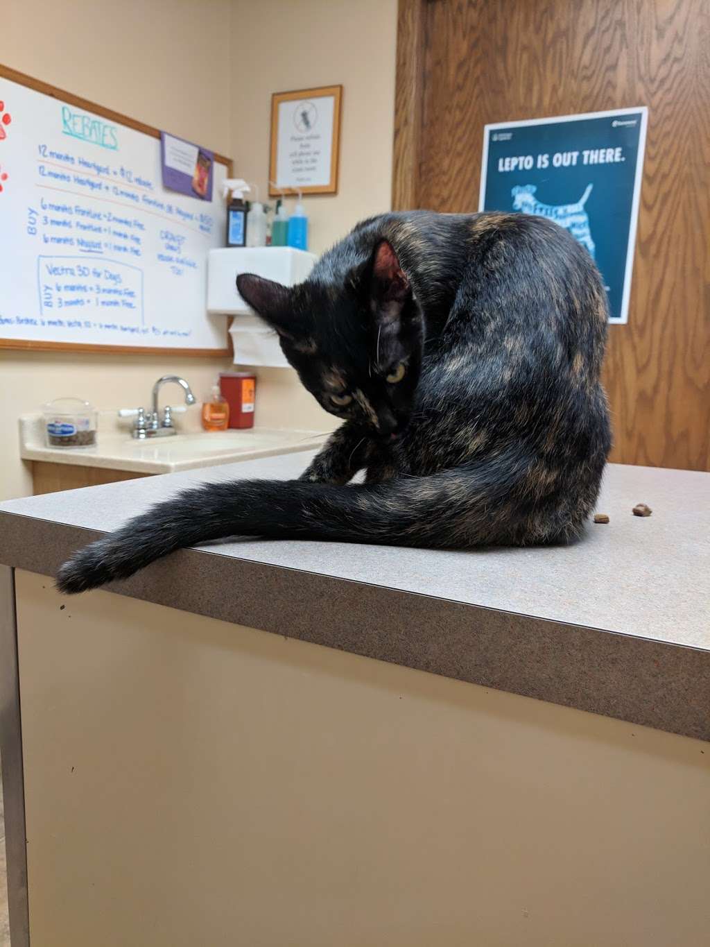 Jefferson Veterinary Clinic, S.C. | 959 W Racine St, Jefferson, WI 53549, USA | Phone: (920) 674-2383