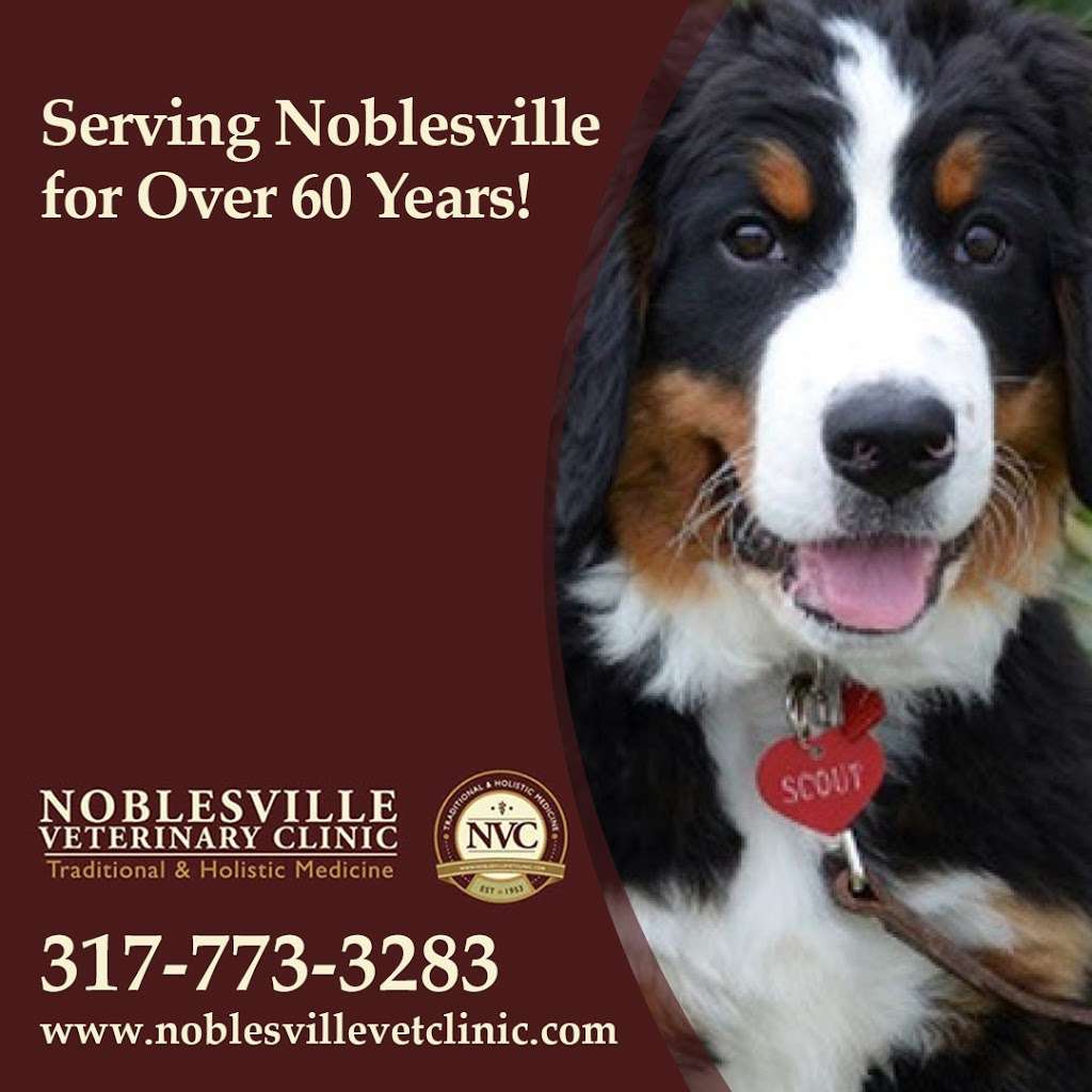 Noblesville Veterinary Clinic - Dr. Tim Fleck | 3355 Conner St, Noblesville, IN 46060, USA | Phone: (317) 773-3283