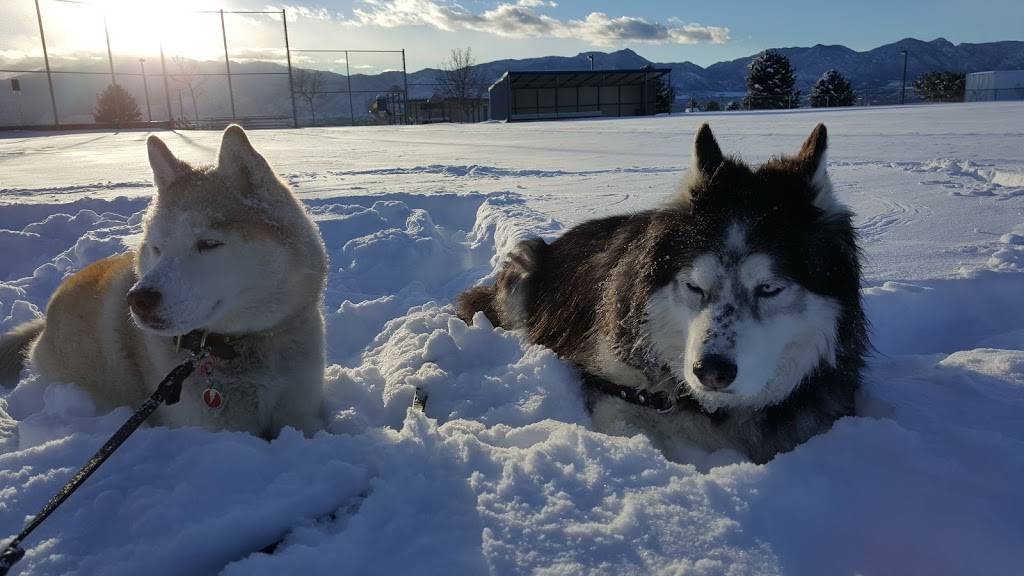 Rampart Dog Park | 8270 Lexington Dr, Colorado Springs, CO 80920, USA | Phone: (719) 385-5940