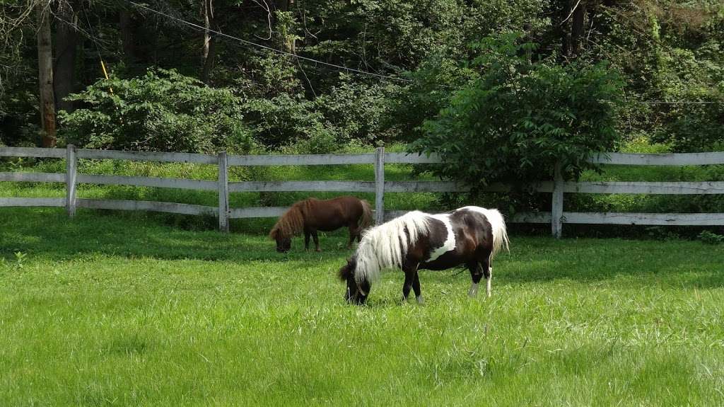 Hilltop Ranch | 1 Bridle Ln, Mohnton, PA 19540, USA | Phone: (610) 777-4204