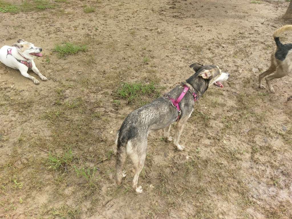 Bark Park at Countryside (League City Dog Park) | League City, TX 77573, USA