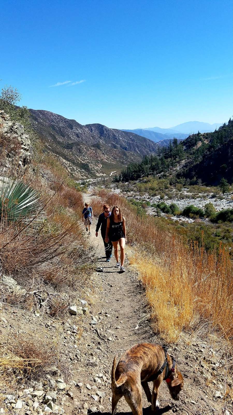 Middle Fork Trail 6W01 | 13901 Middle Fork Rd, Lytle Creek, CA 92358, USA | Phone: (909) 382-2851