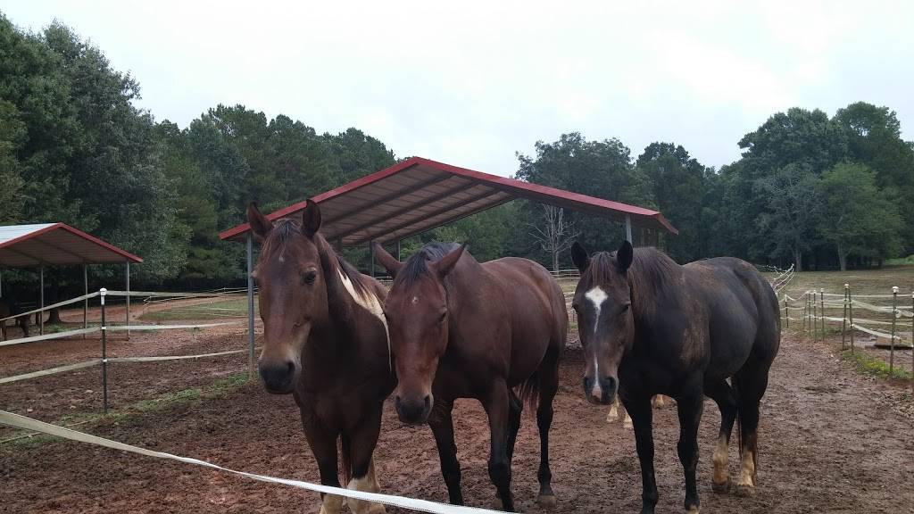 Horses for Hope TRC, Inc | 2909 Banks Rd, Raleigh, NC 27603, USA | Phone: (919) 906-3363