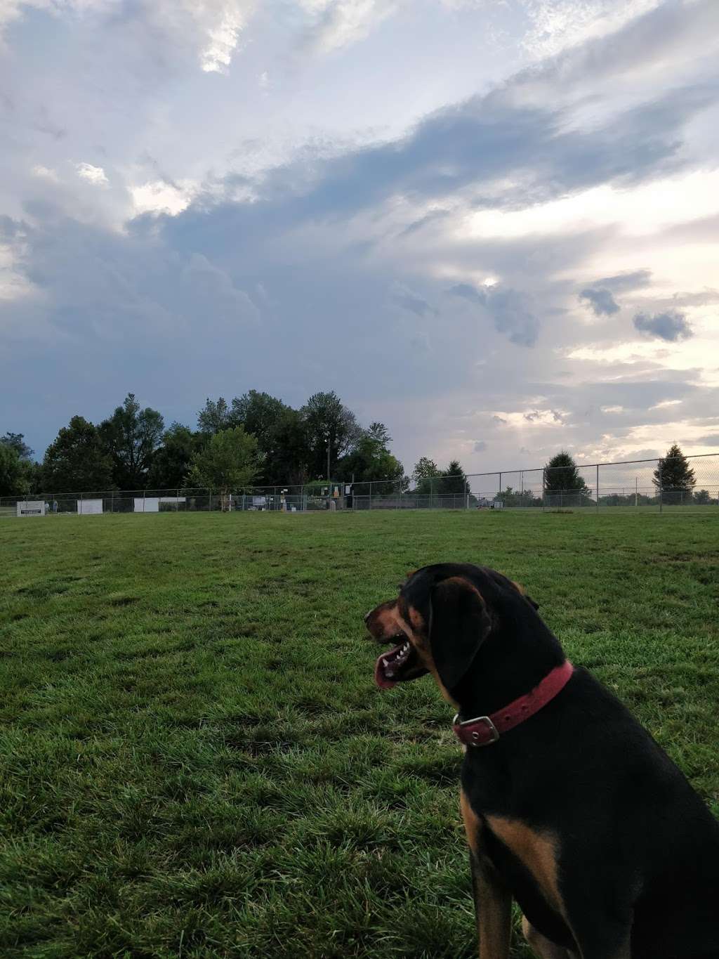 Overlook Dog Park | 2215 Fruitville Pike, Lancaster, PA 17601, USA | Phone: (717) 290-7180