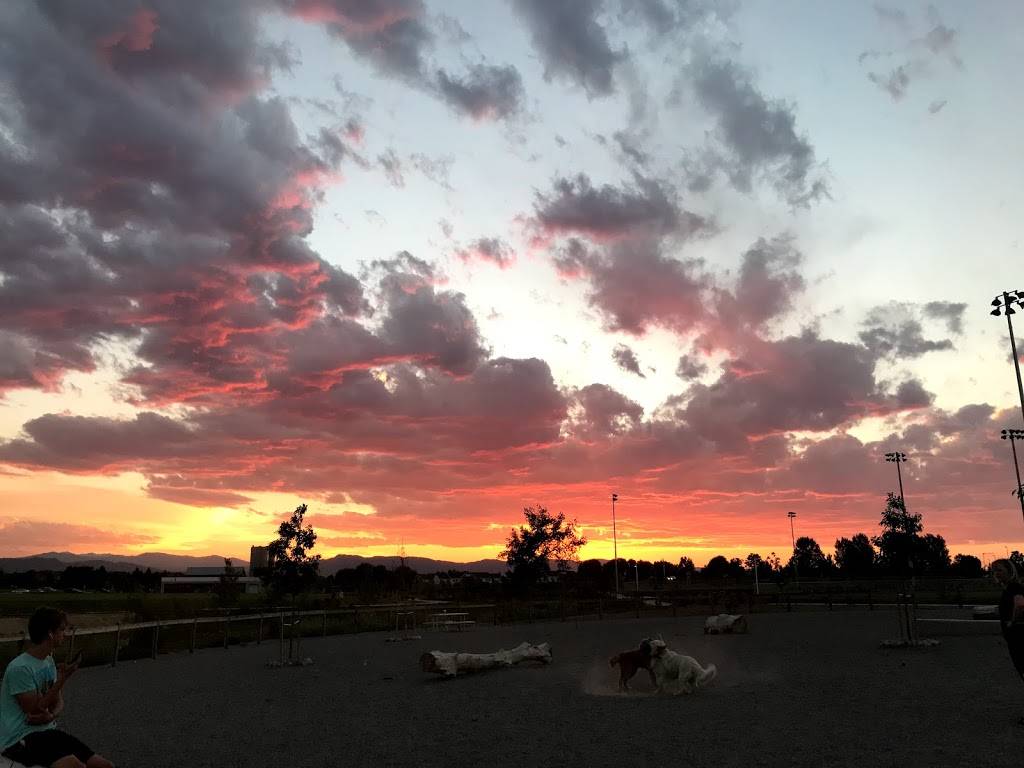 Twin Silo Dog Park | Fort Collins, CO 80528, USA | Phone: (970) 221-6660