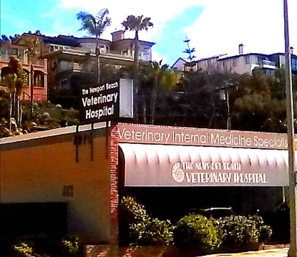 The Newport Beach Veterinary Hospital | 1610 West Coast Hwy, Newport Beach, CA 92663, USA | Phone: (949) 722-8152