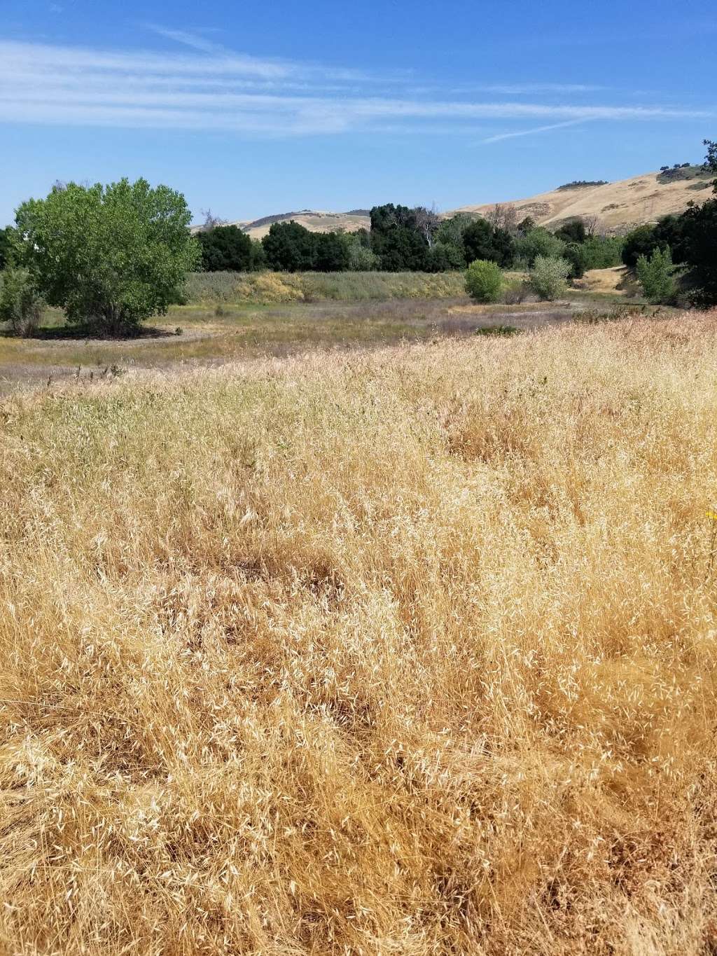 continuation of Coyote creek trail on Coyote ranch road | Coyote Ranch Rd, Coyote, CA 95013, USA