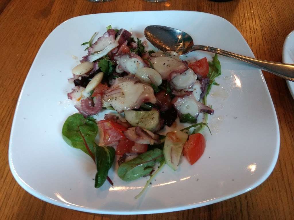 Moya | 24 Race St, Jim Thorpe, PA 18229, USA | Phone: (570) 325-8530