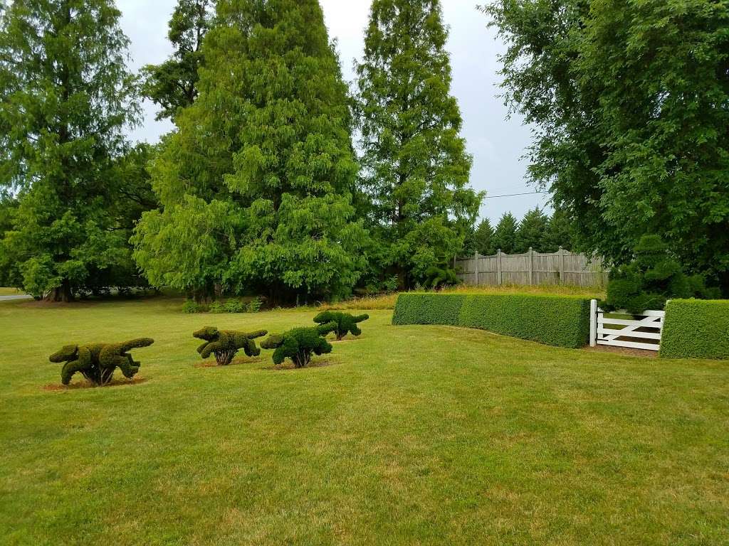 Ladew Topiary Gardens | 3535 Jarrettsville Pike, Monkton, MD 21111, USA | Phone: (410) 557-9466