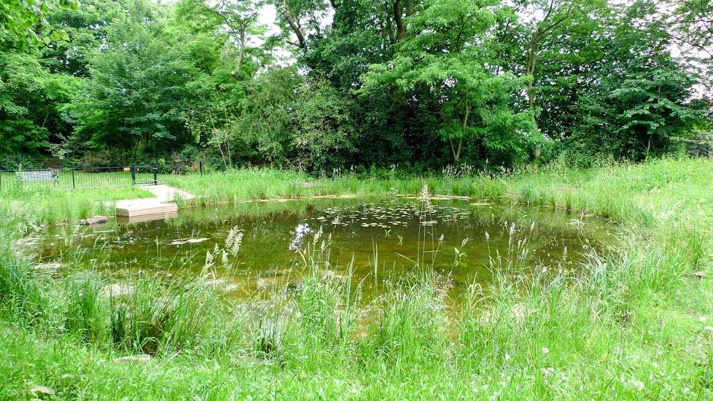 Eaglesfield Park Wildlife Pond | Eaglesfield Rd, London SE18 3DN, UK