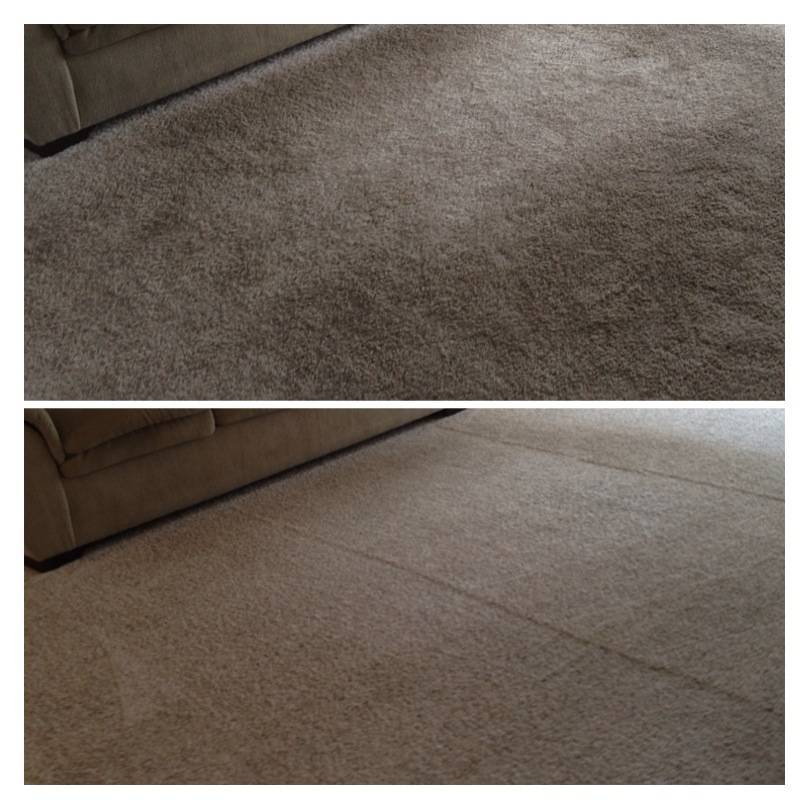 CitruSolution Carpet Cleaning | 1258 Ringwood Ct, New Albany, OH 43054, USA | Phone: (614) 245-0235