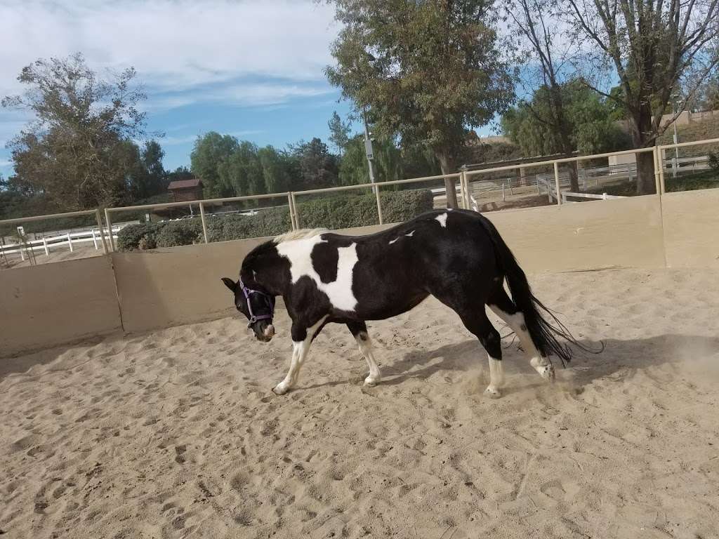 Buena Vista Equestrian Center | Yorba Linda, CA 92886