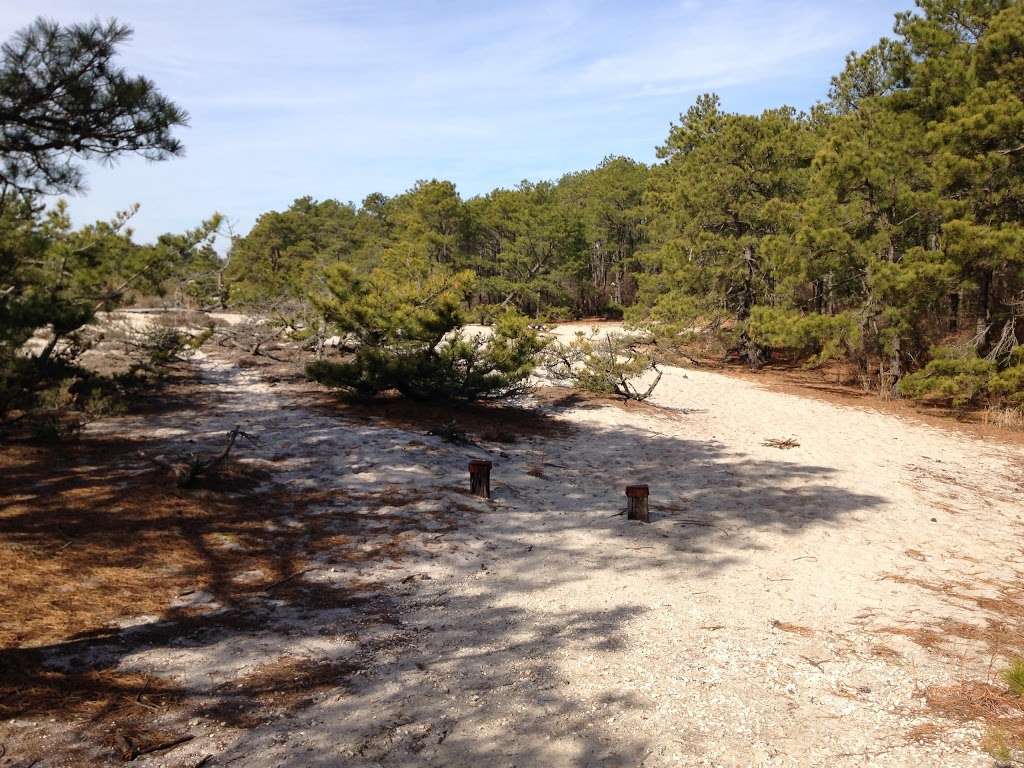 Cape Henlopen Disc Golf Course | Lewes, DE 19958, USA