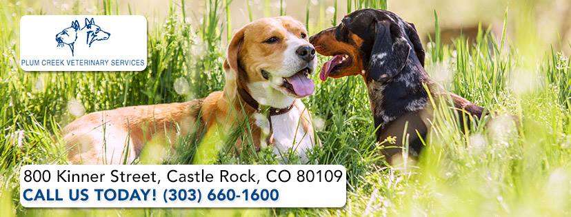 Plum Creek Veterinary Services | 800 Kinner St, Castle Rock, CO 80109 | Phone: (303) 660-1600
