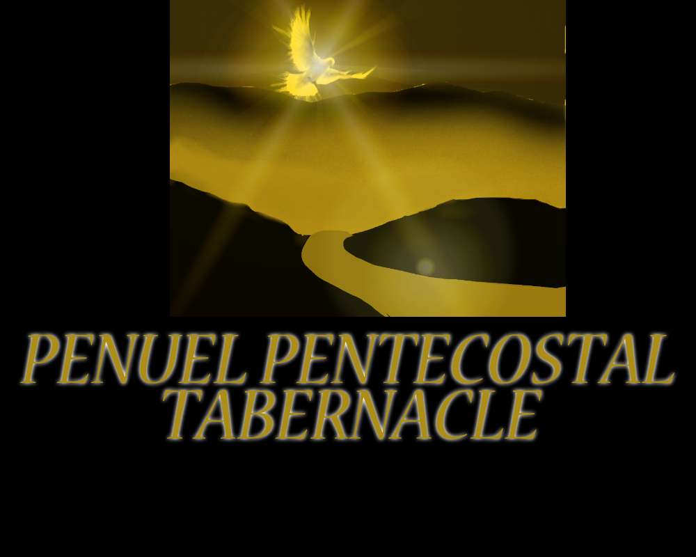 Penuel Pentecostal Tabernacle | 12 Winona Ave, Newburgh, NY 12550, USA | Phone: (845) 565-4118