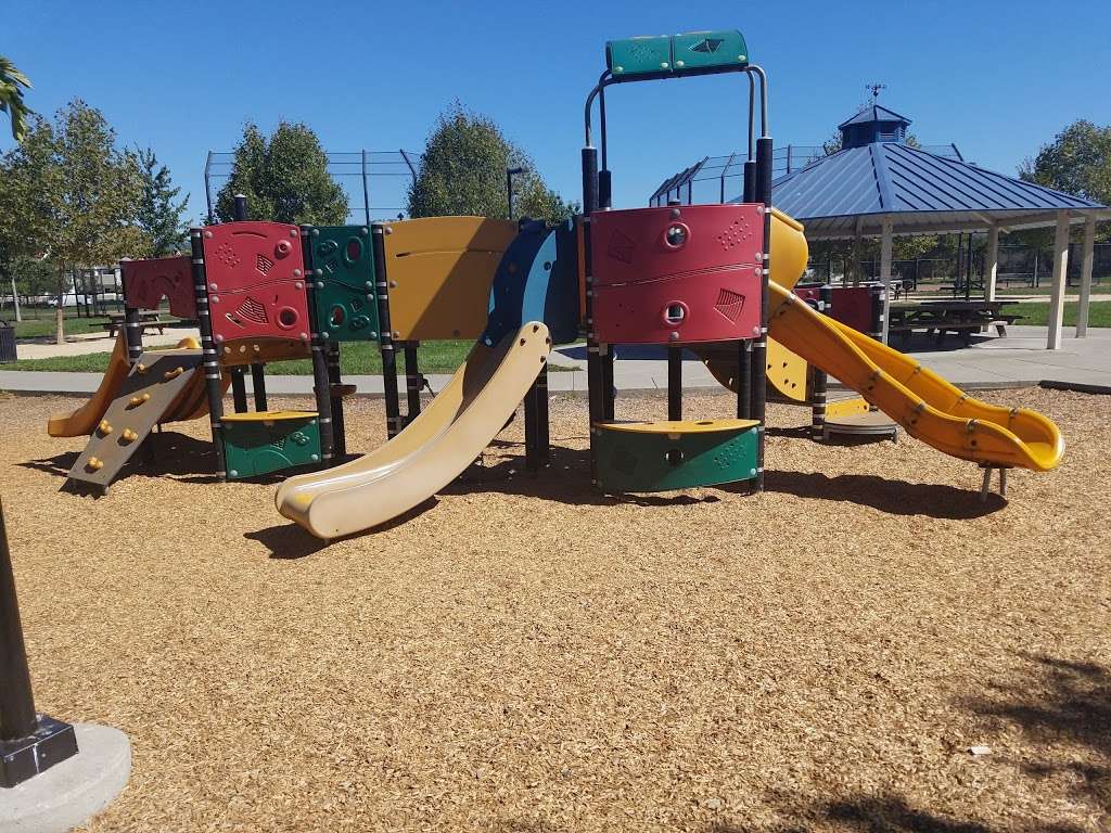 Leghorns park | Petaluma, CA 94954