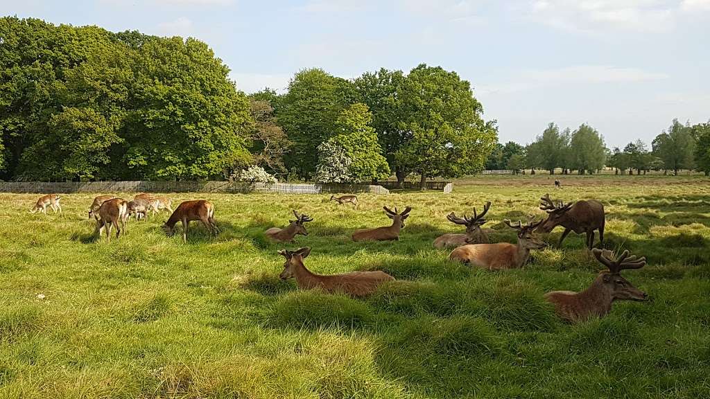 Richmond Park | Richmond, UK | Phone: 0300 061 2200