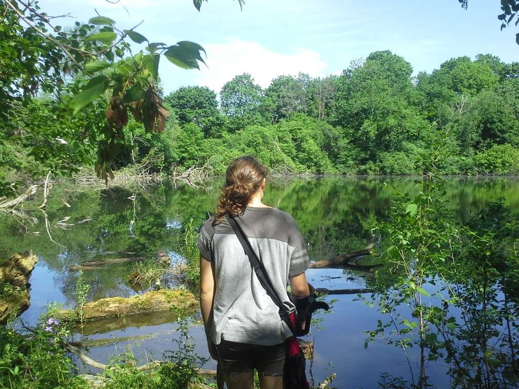 Skokie River Nature Preserve | Skokie Hwy, Lake Forest, IL 60045, USA | Phone: (847) 234-3880