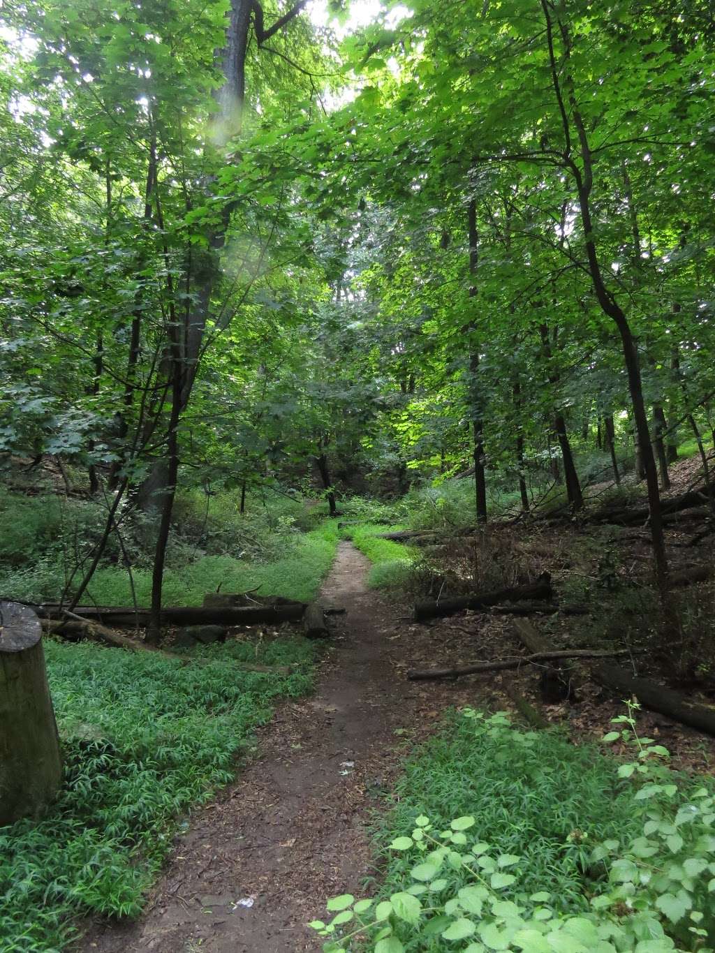 Juhring Nature Preserve | Dobbs Ferry, NY 10522