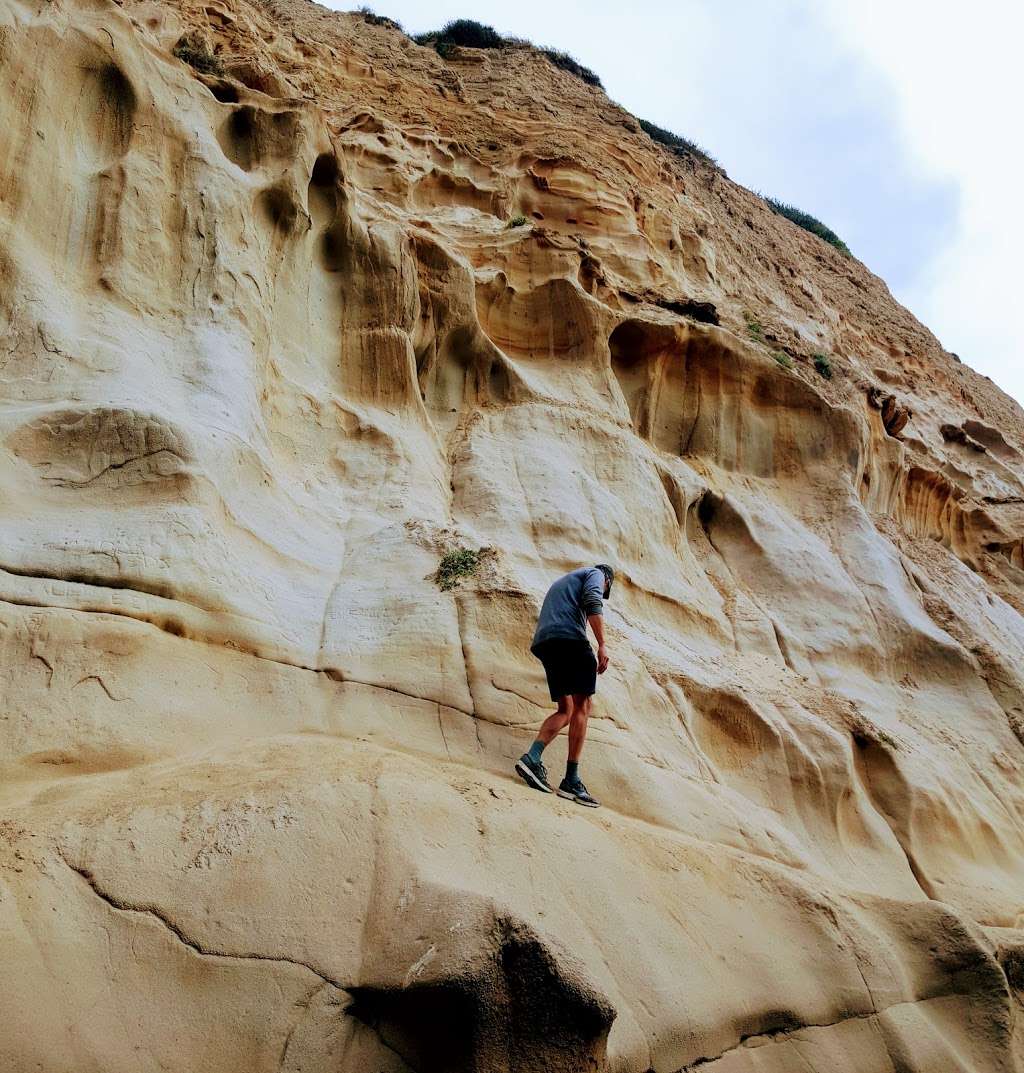 Blacks Beach Trailhead | 9601 La Jolla Farms Rd, La Jolla, CA 92037, USA