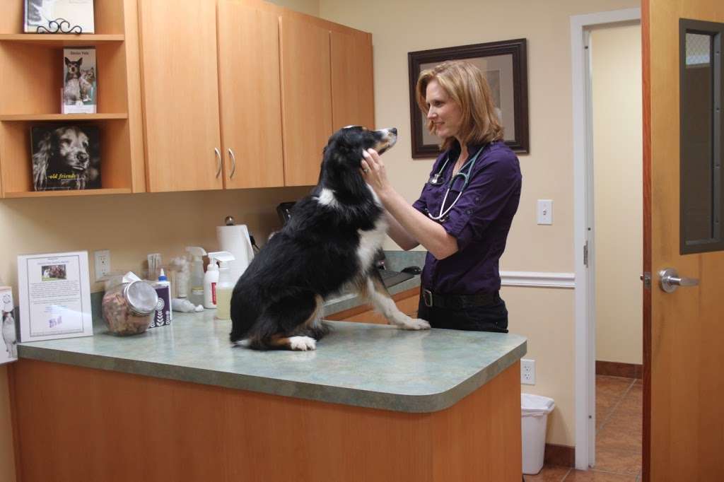 Mulberry Grove Animal Hospital | 7101 SE Hwy 42, Summerfield, FL 34491 | Phone: (352) 245-9009