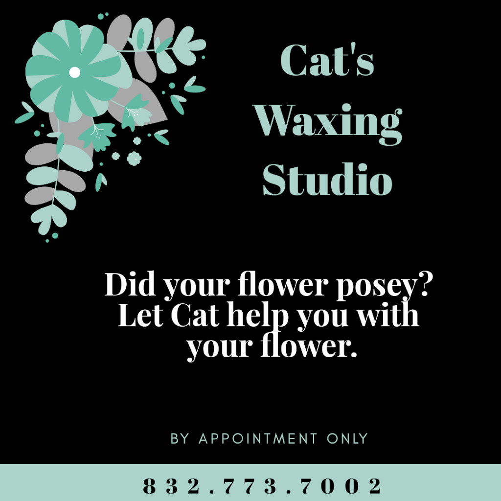Cats Waxing Studio | 3000 W Davis St Suite 3, Conroe, TX 77304, USA | Phone: (832) 773-7002