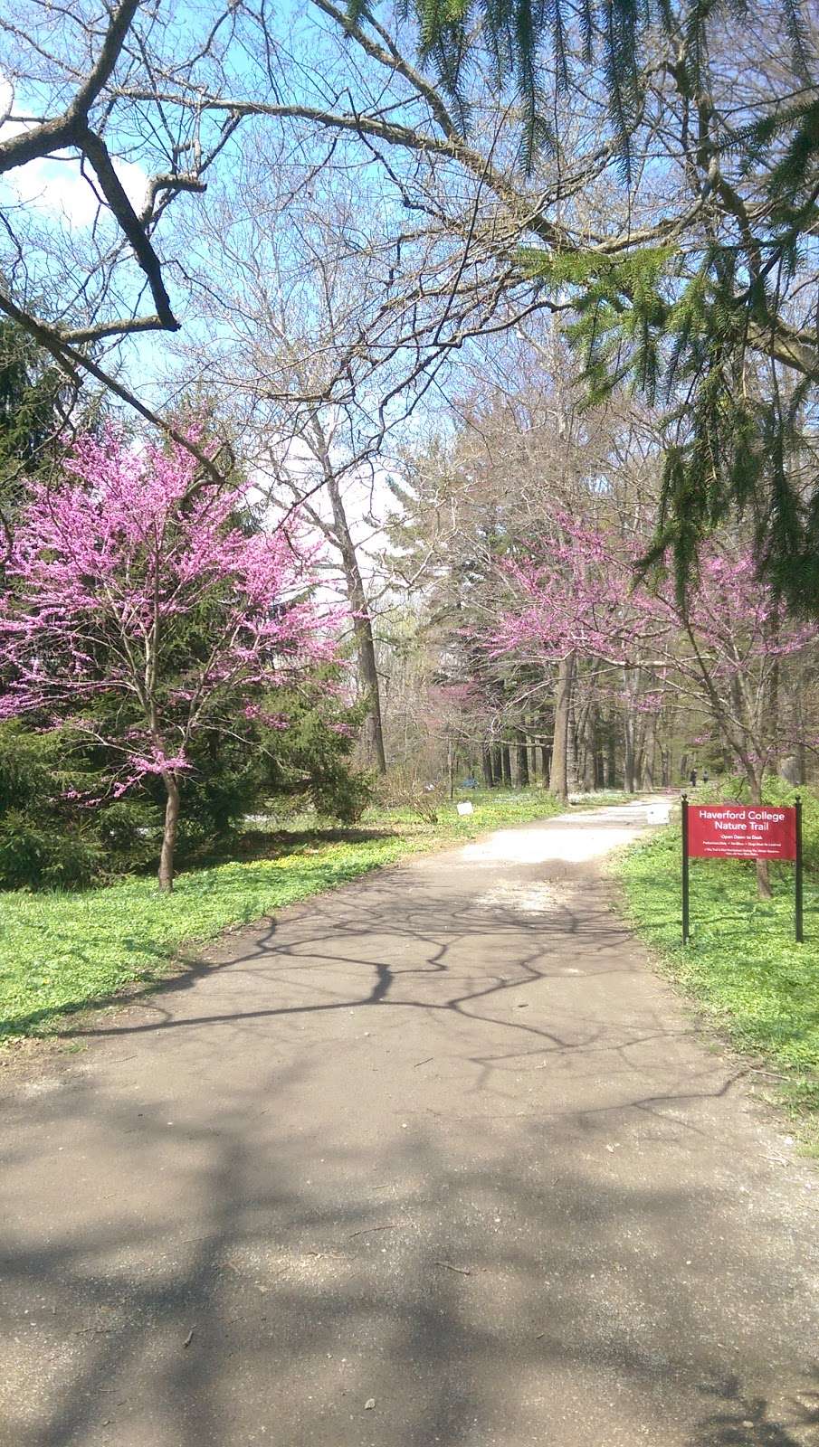 Haverford College Nature trail | 88-2 College Ln, Haverford, PA 19041, USA