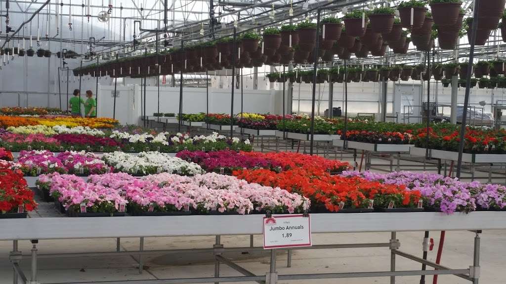 Blooms Greenhouse Growers Outlet | 719 Hupp Rd, La Porte, IN 46350, USA | Phone: (219) 393-3607