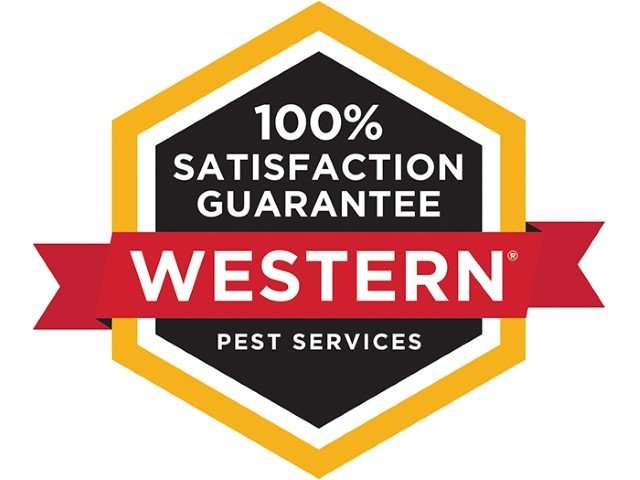 Western Pest Services | Stamford, CT 06905, USA | Phone: (844) 213-6132