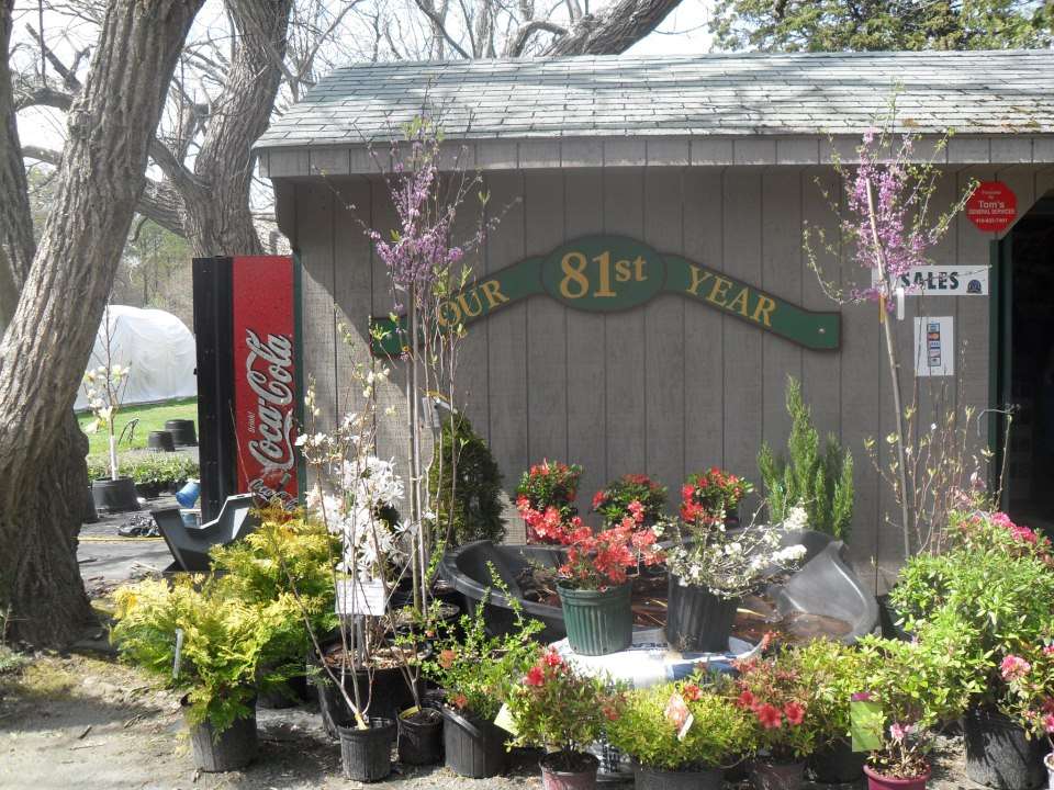 Eastern Shore Nurseries Inc | CHECK WEBSITE FOR HOURS, 30104 Dover Rd, Easton, MD 21601, USA | Phone: (410) 822-1320