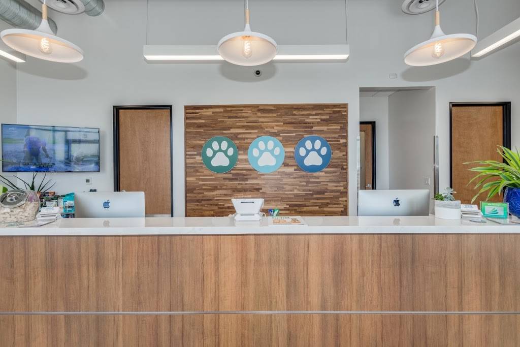 Trilogy Veterinary Medical Center | 2801 E Ocotillo Rd #5, Chandler, AZ 85249, USA | Phone: (480) 470-4700