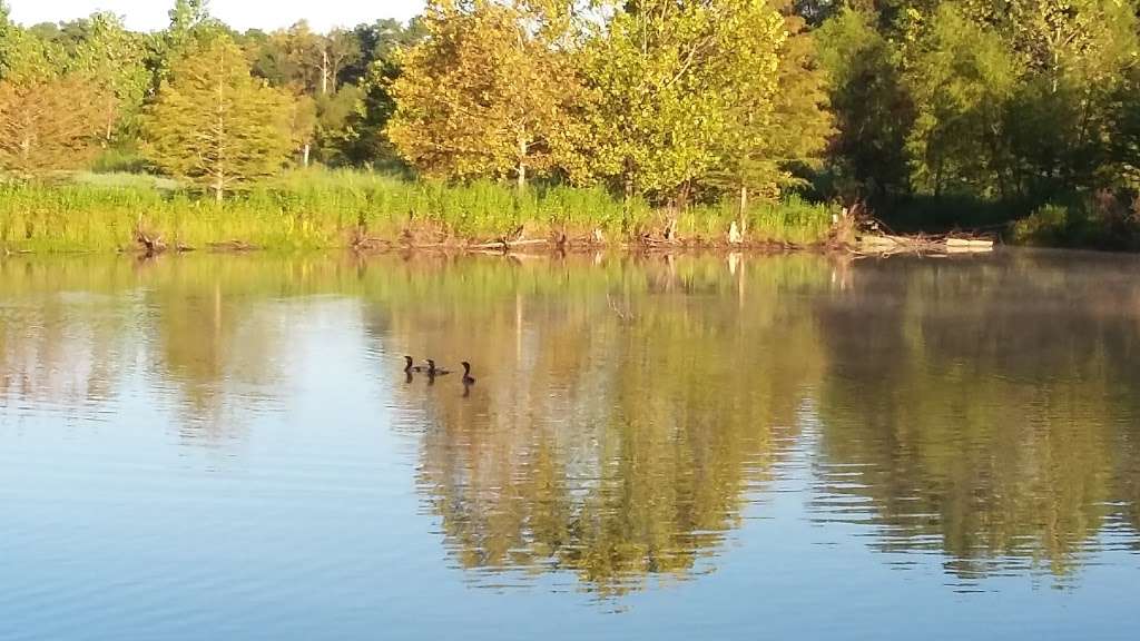 Keith-Wiess Park | 12300 Aldine Westfield Rd, Houston, TX 77093, USA | Phone: (832) 394-8805