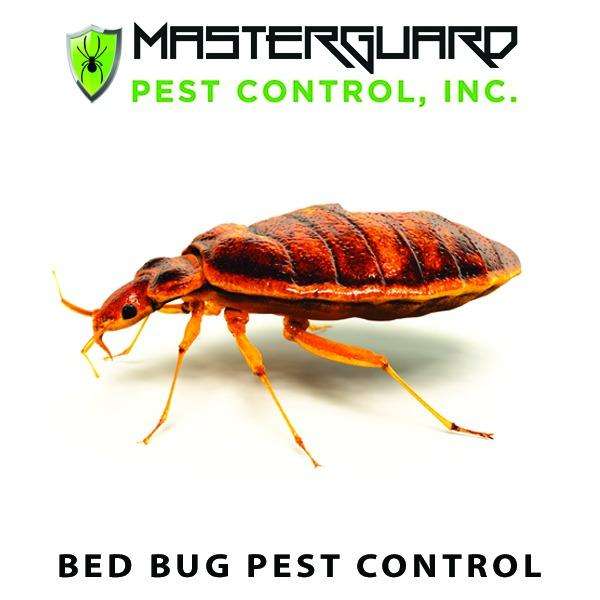 MasterGuard Pest Control Inc. | 3215 Golf Rd #293, Delafield, WI 53018, USA | Phone: (262) 408-2220