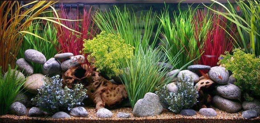 Tim Jones Aquarium and Pond Service | 14774 Hardaway Dr, La Mirada, CA 90638, USA | Phone: (562) 237-2198