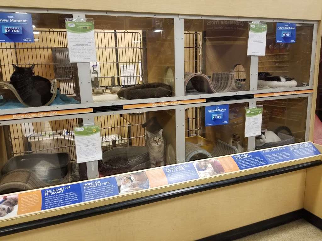 PetSmart | 1935 N Campus Ave, Upland, CA 91784, USA | Phone: (909) 981-4139