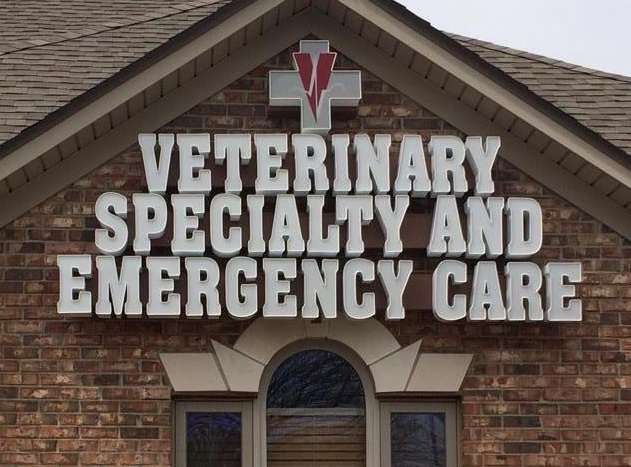 Veterinary Specialty & Emergency Care | 4625 E Stop 11 Rd Suite A, Indianapolis, IN 46237, USA | Phone: (317) 534-6000