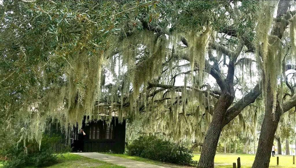 Doe Lake Campground - Ocala National Forest | Umatilla, FL 32784, USA