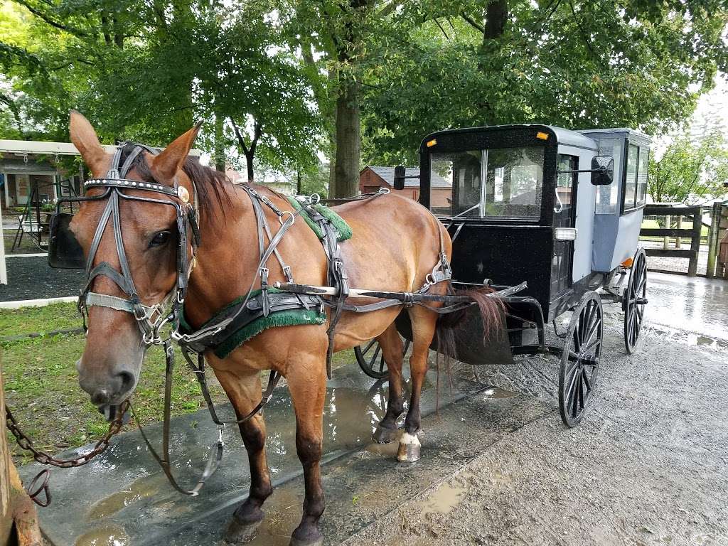 abe's buggy ride