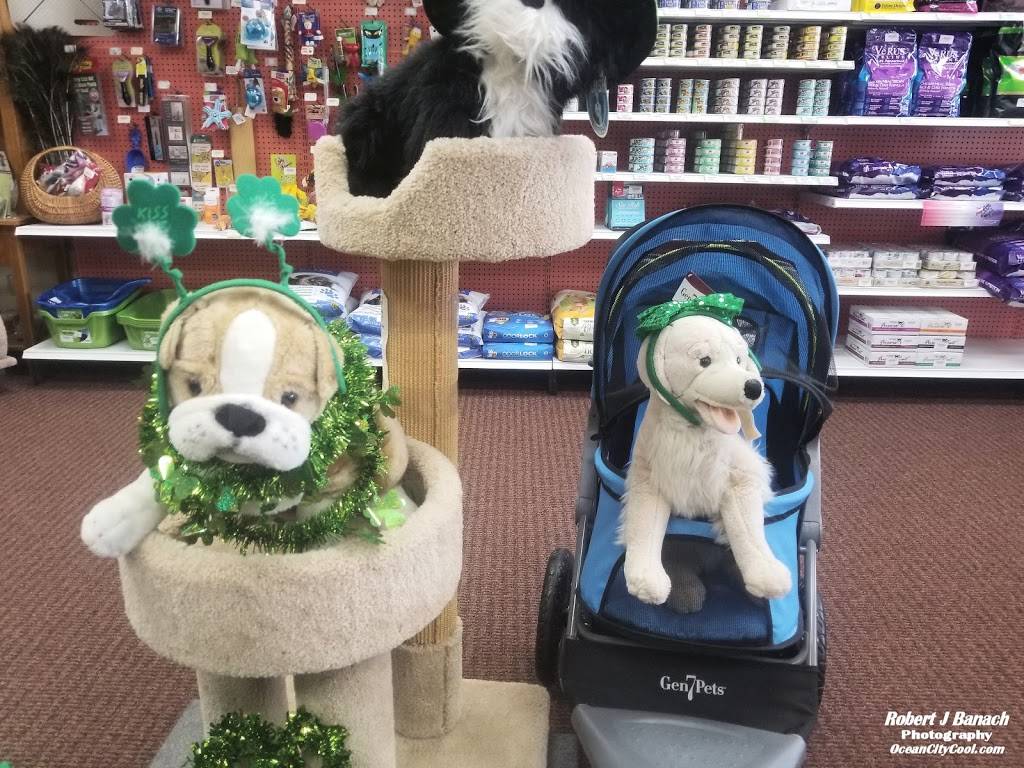 Paws & Claws Etc | 11934 Ocean Gateway #2, Ocean City, MD 21842, USA | Phone: (410) 213-7490