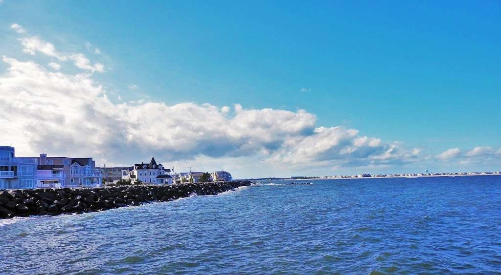 Avalon Seawatch -- Cape May Bird Observatory | 25 9th St, Avalon, NJ 08202, USA