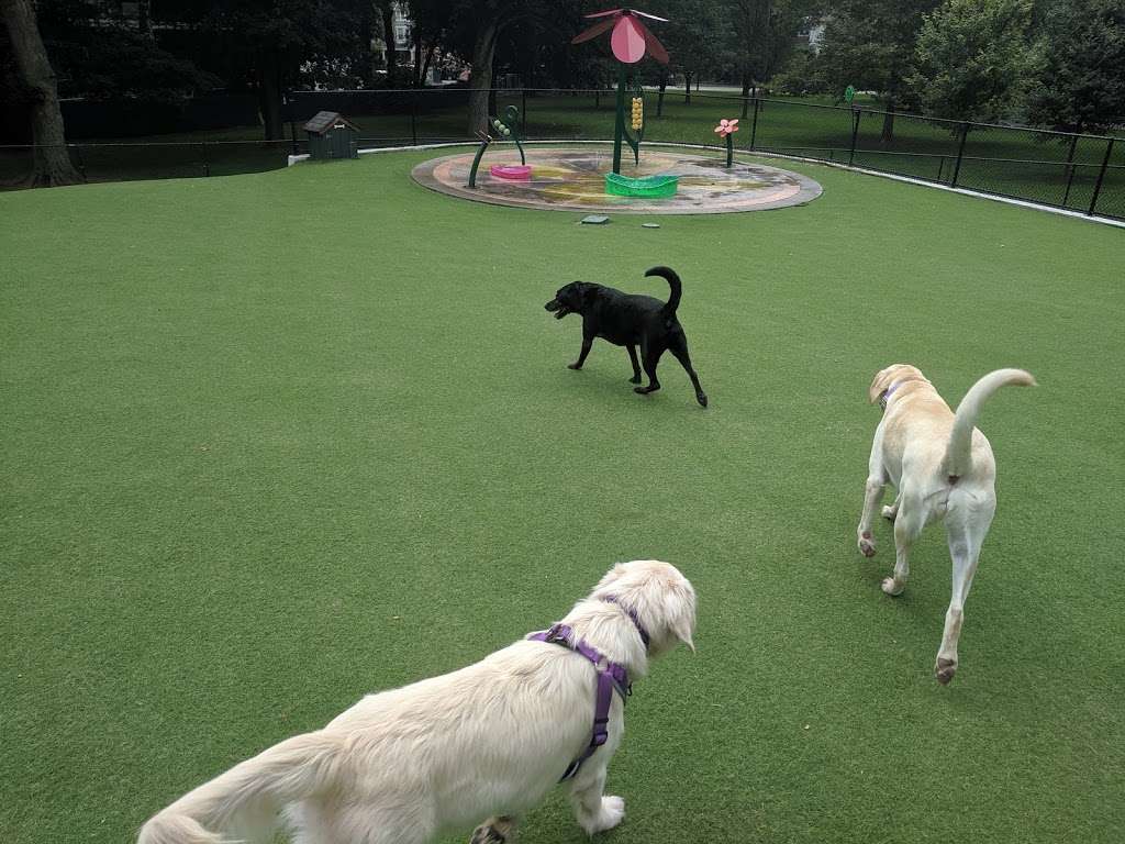 Buchanan Dog Park | 901 Buchanan Ave, Lancaster, PA 17603, USA | Phone: (717) 291-4841