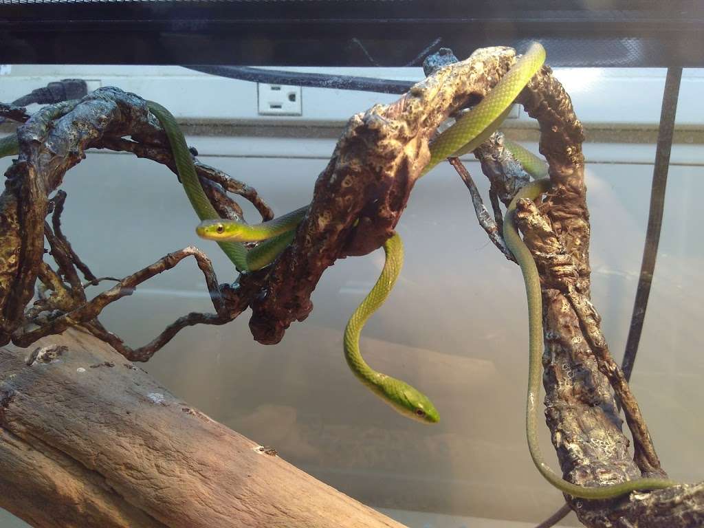 Marine Dog Pet Supplies | 1350 Hicksville Rd, Massapequa, NY 11758, USA | Phone: (516) 797-7738