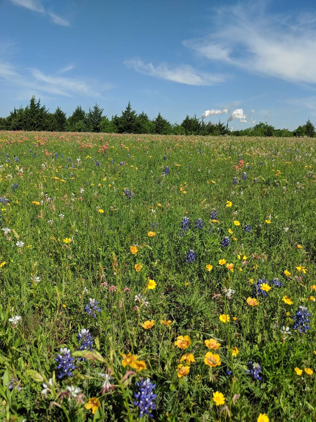 Mockingbird Nature Park | Mockingbird Lane, 1361 Onward Rd, Midlothian, TX 76065, USA | Phone: (972) 775-3481