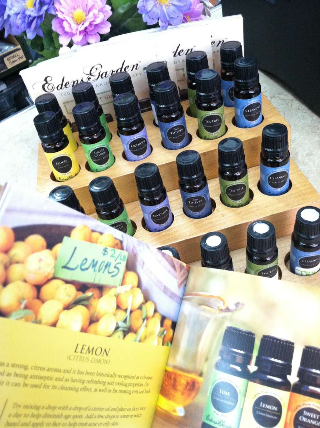 Queen Vacuum & HomeCare Center | 191 Newman Springs Rd E, Shrewsbury, NJ 07702, USA | Phone: (732) 747-5623