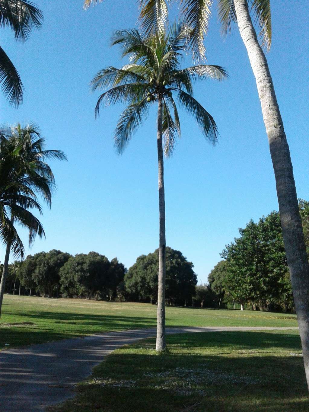 Dreher Dog Park | Dreher Trail S, West Palm Beach, FL 33405, USA