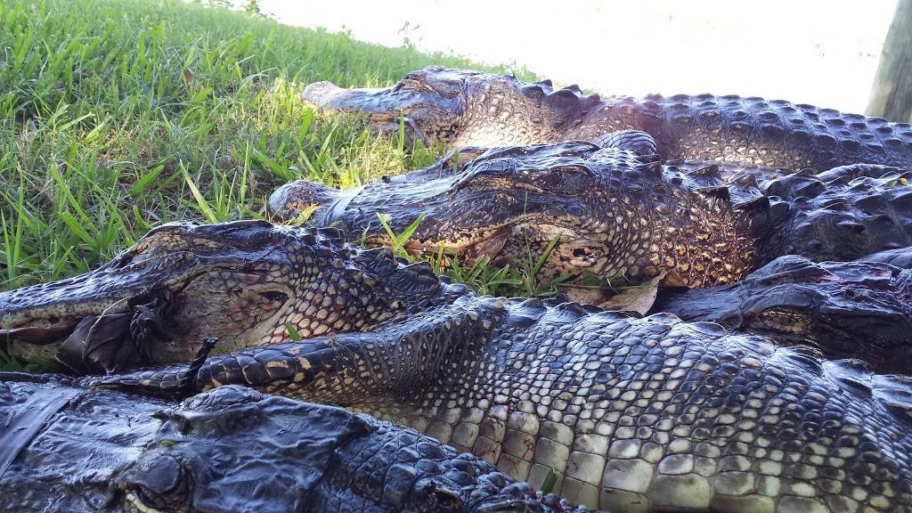 Swamp Tour New Orleans . Pirate Venture. | 4477 Jackie Ln, Jean Lafitte, LA 70067, USA | Phone: (504) 233-5000