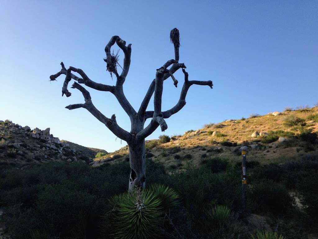 deep creek hot springs trail head | Apple Valley, CA 92308, USA