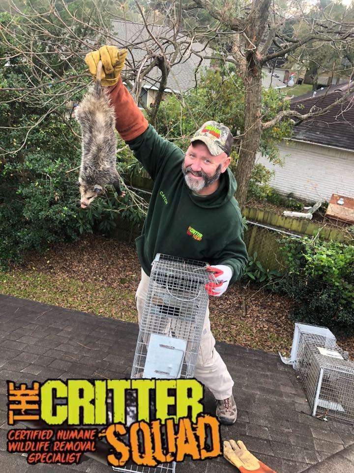 The Critter Squad Inc | 2811 County Rd 163, Alvin, TX 77511, USA | Phone: (281) 849-6008